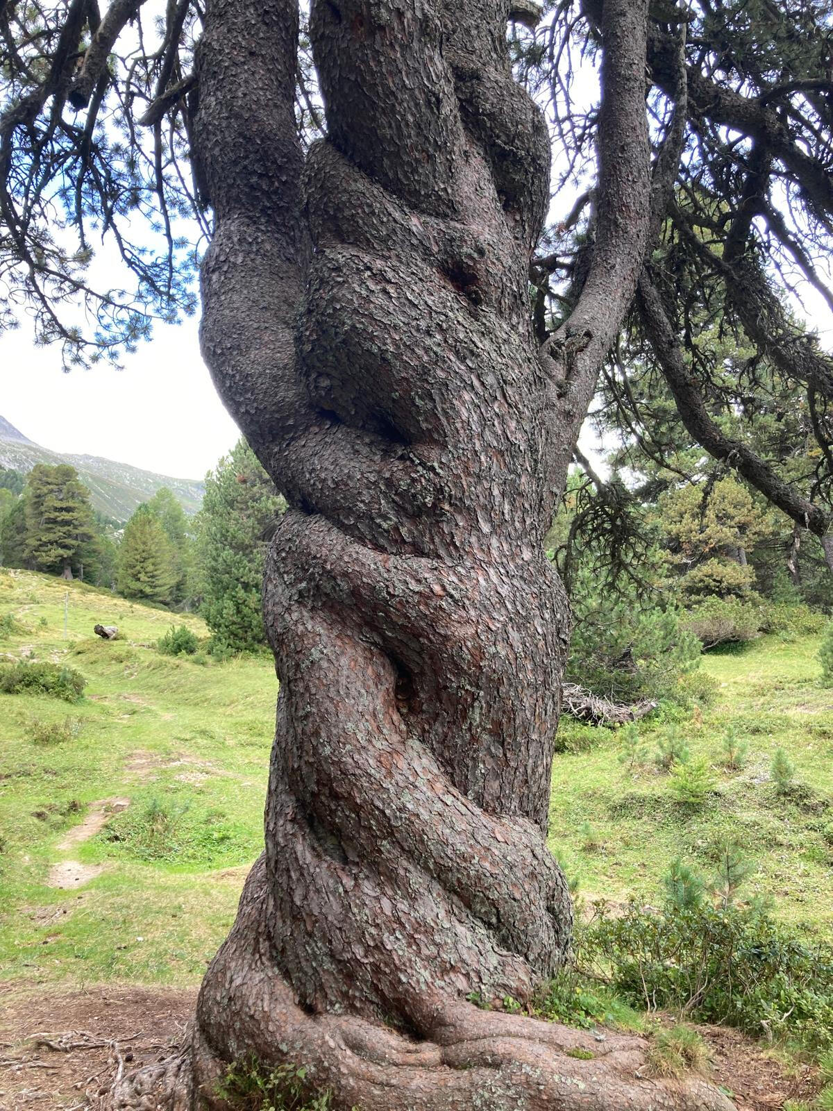 Was sind die Weltenweberinnen? Karten im Kreis um eine Kerze