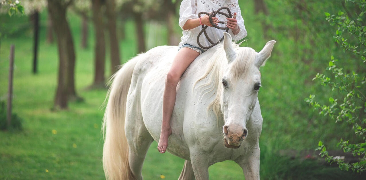 Weltenweberinnen Portrait Zwei Frauen in der Natur