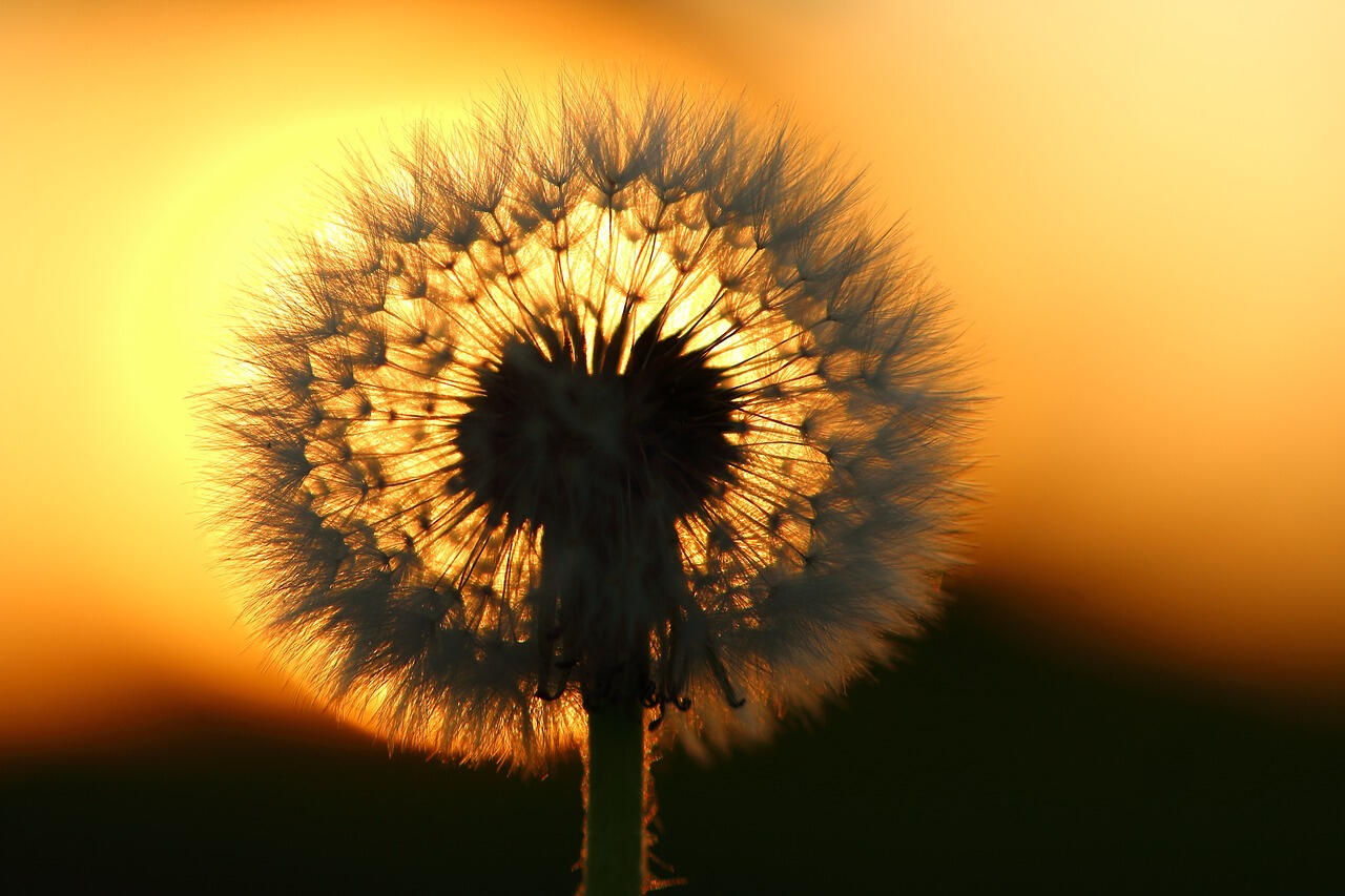 Weltenweberinnen Portrait Zwei Frauen in der Natur